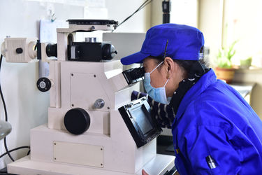 Çin Jinhuan Auto Parts Manufacturing Co., Ltd Fabrika